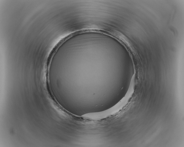 X0000113051124200909101933