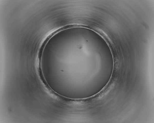 X0000113051125200909101933