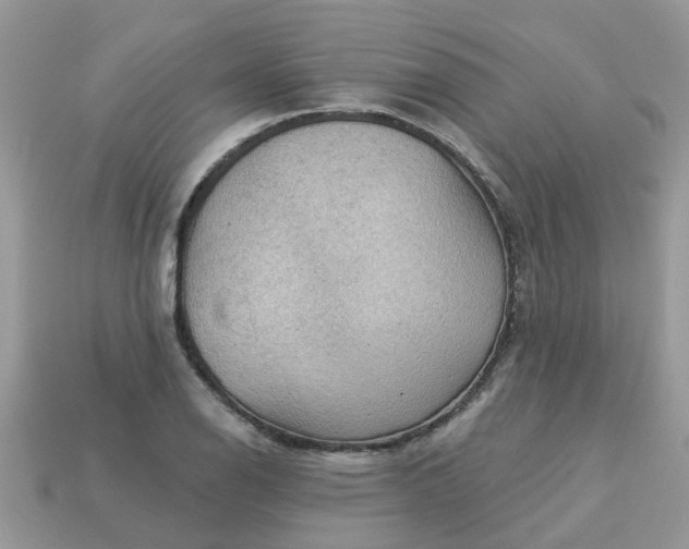 X0000113051126200909101933