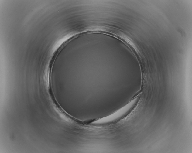 X0000113051127200909101933