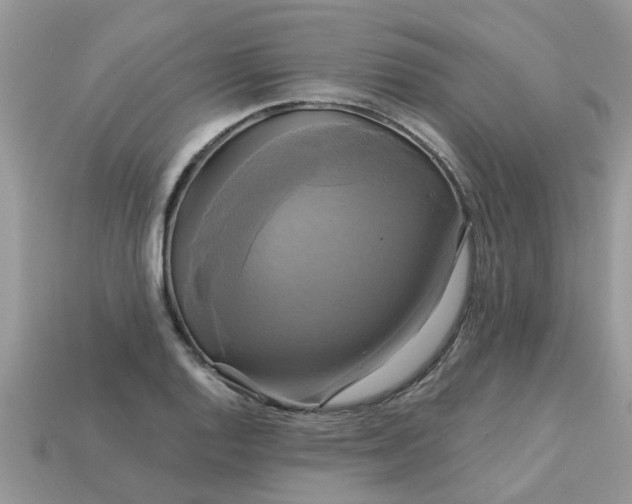 X0000113051128200909101933