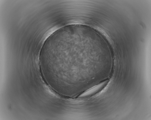 X0000113051129200909101933