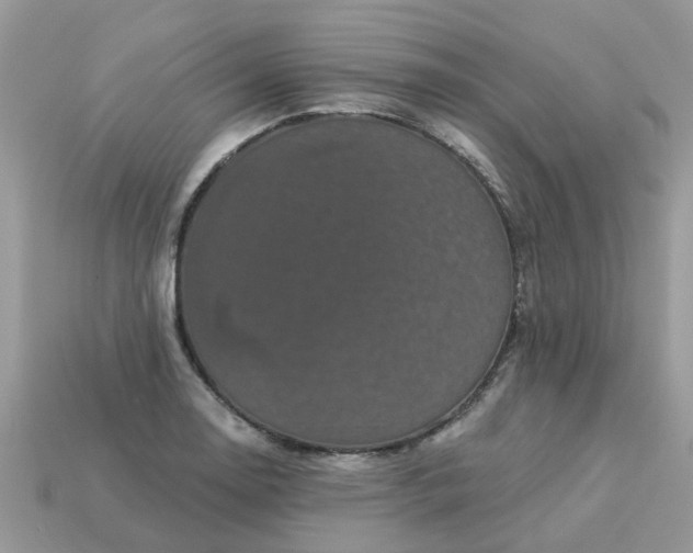 X0000113051130200909101933