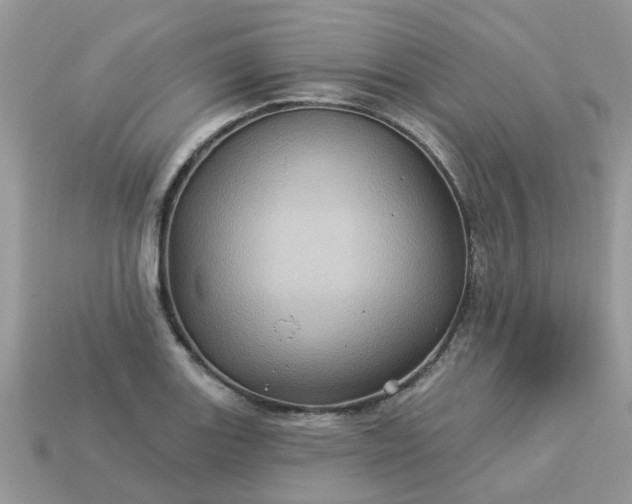 X0000113051131200909101933