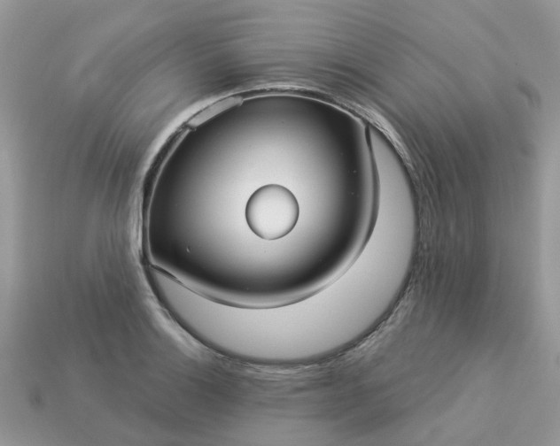 X0000113051132200909101933