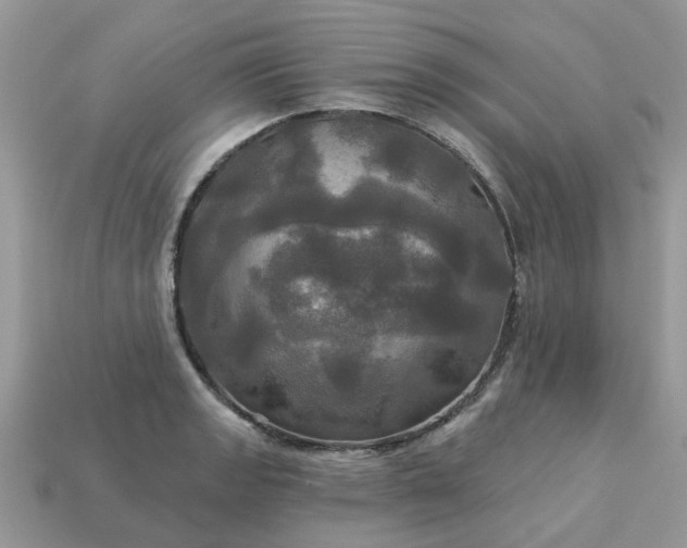 X0000113051133200909101933