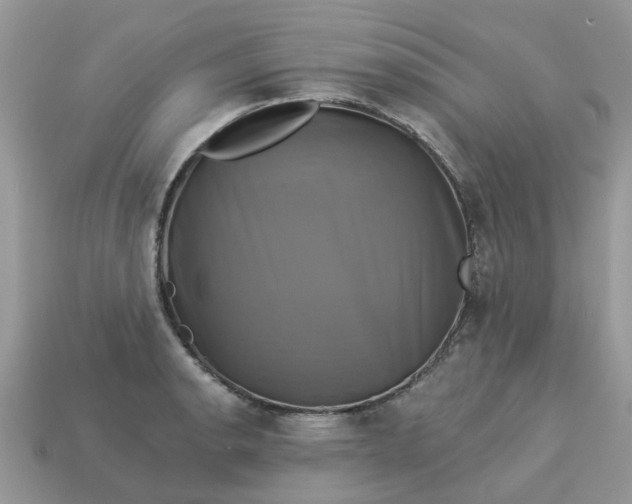 X0000113051134200909101933