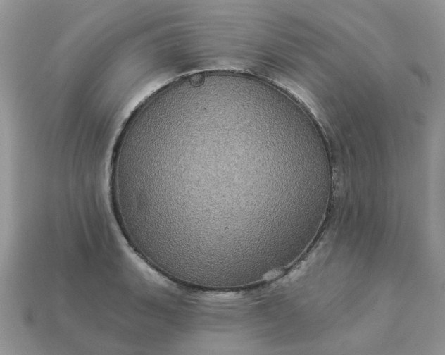 X0000113051135200909101933