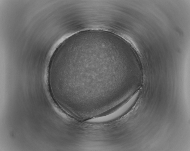 X0000113051136200909101933