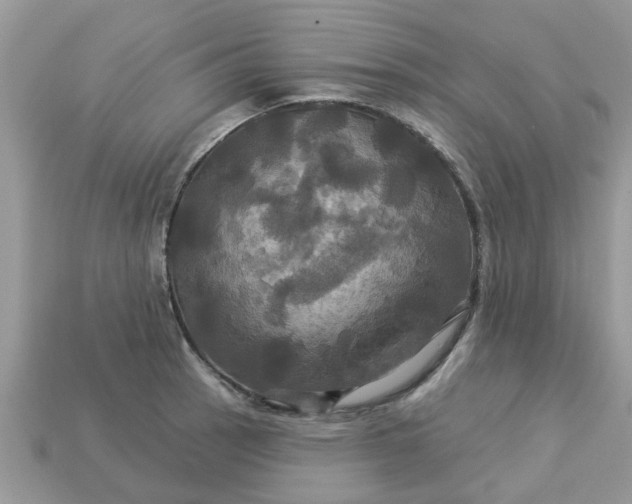 X0000113051137200909101933