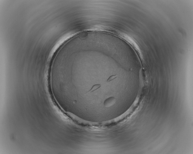 X0000113051138200909101933