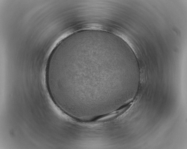 X0000113051139200909101933