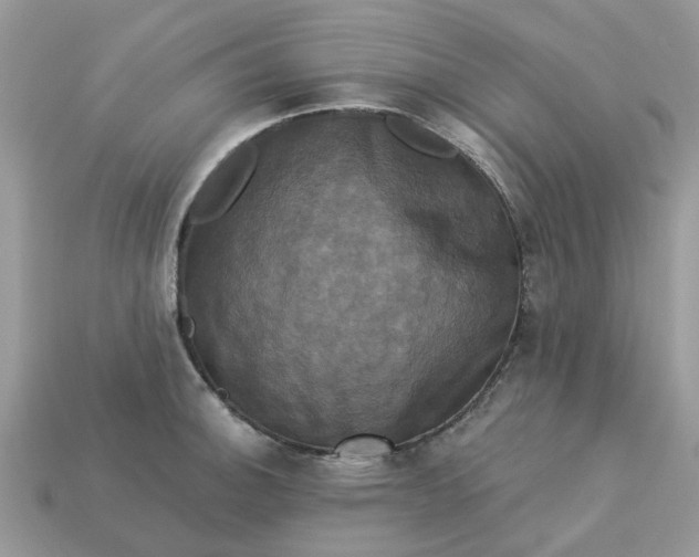 X0000113051140200909101933