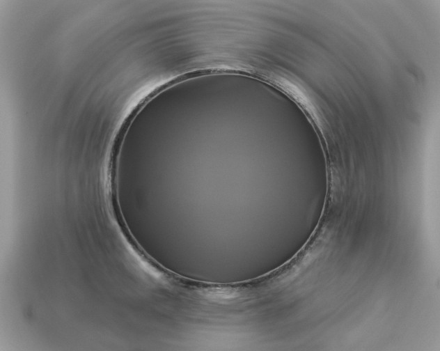 X0000113051141200909101933