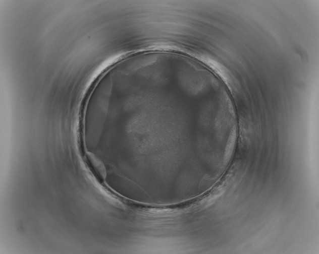 X0000113051142200909101934