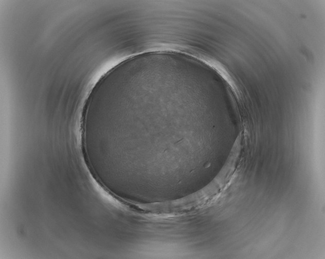 X0000113051143200909101934