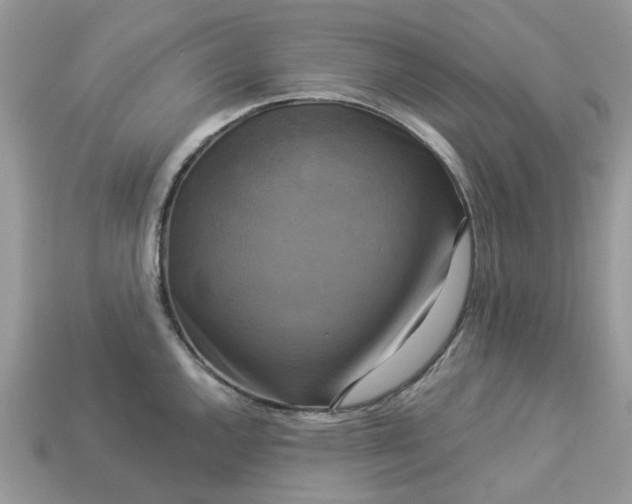 X0000113051144200909101934