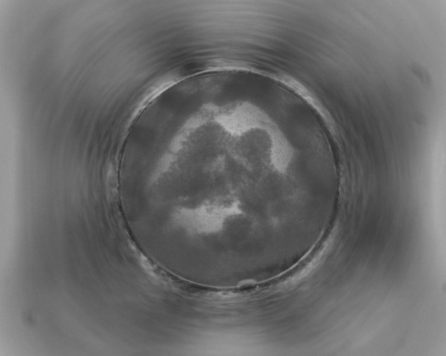 X0000113051145200909101934