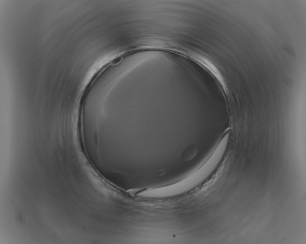 X0000113051146200909101934