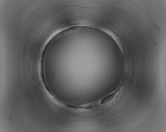 X0000113051147200909101934