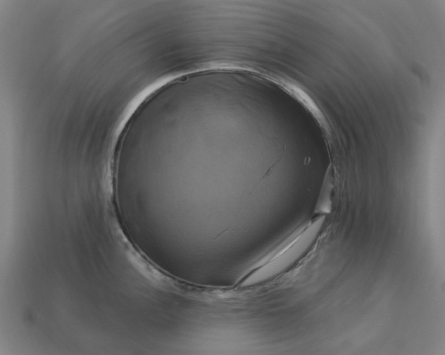 X0000113051148200909101934