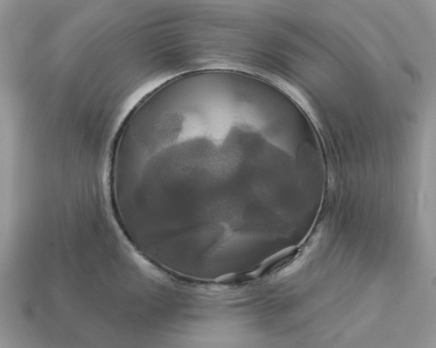 X0000113051149200909101934