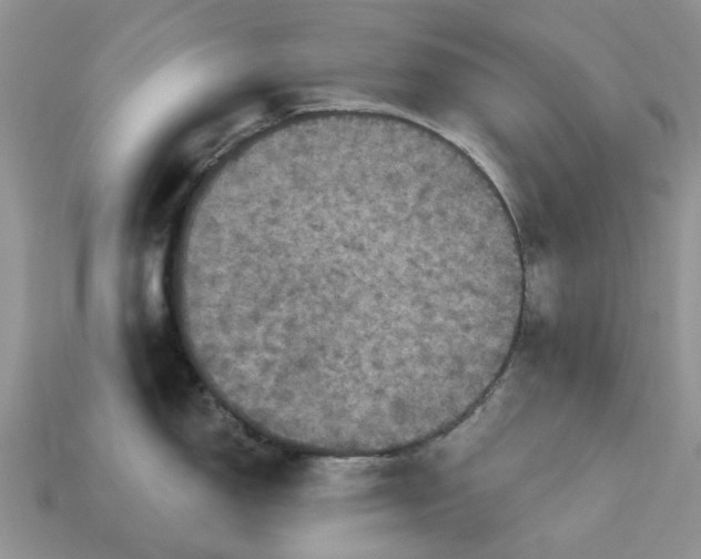 X0000113051150200909101934