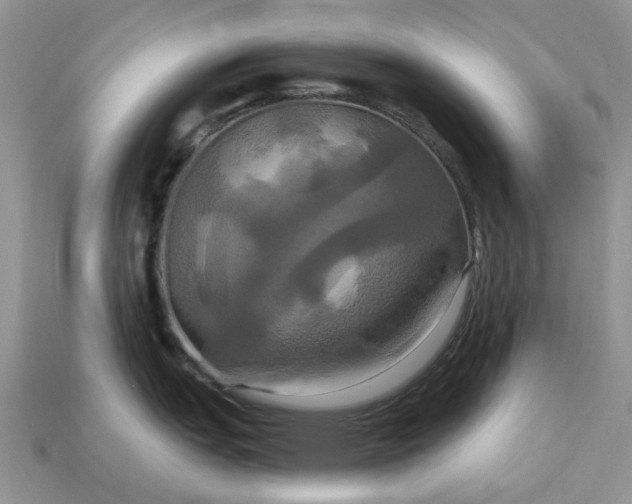 X0000113051151200909101934