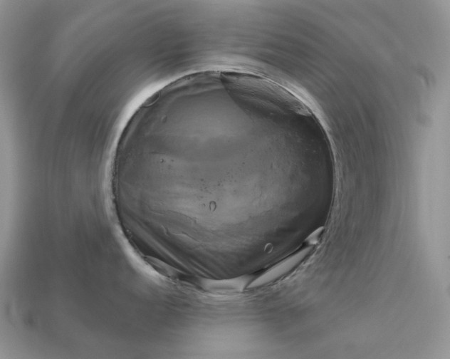 X0000113051152200909101934