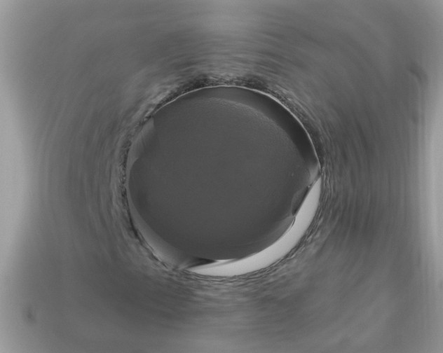 X0000113051153200909101933