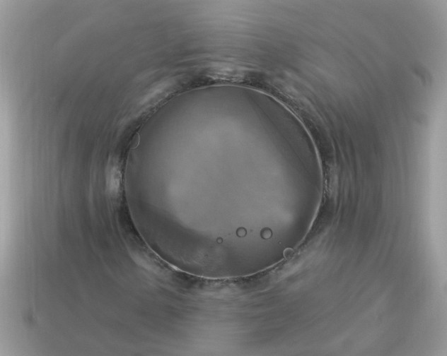 X0000113051154200909101933