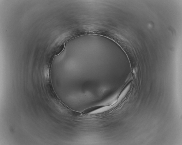 X0000113051155200909101933