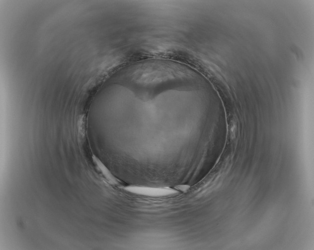 X0000113051156200909101933