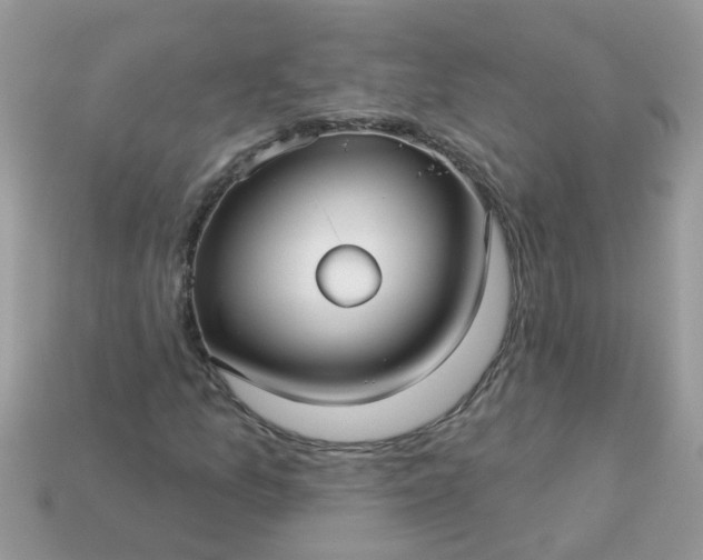 X0000113051157200909101933