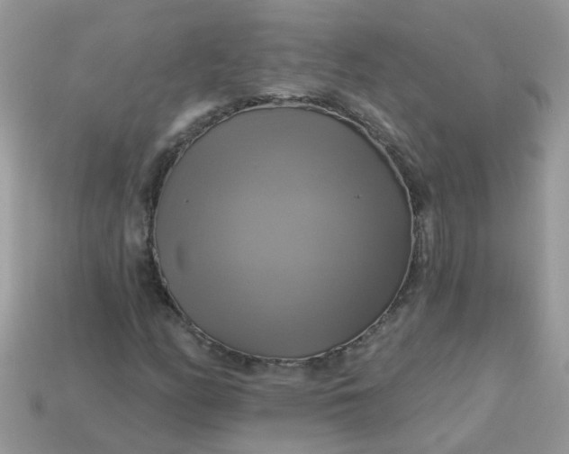 X0000113051158200909101933