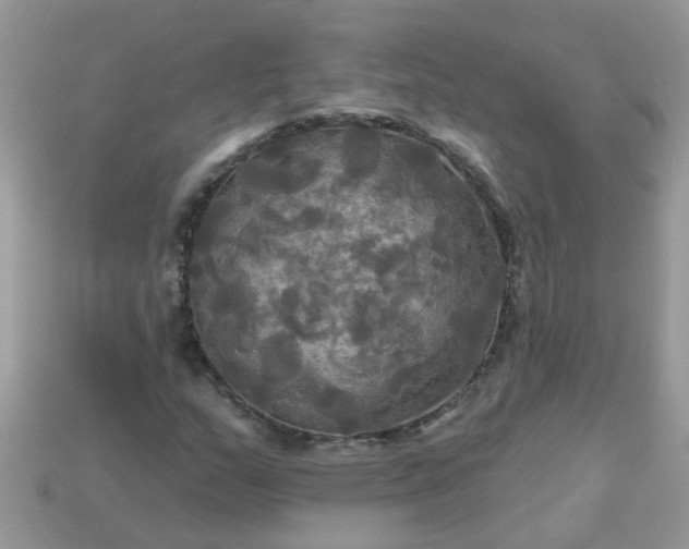 X0000113051159200909101933