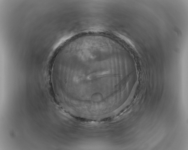 X0000113051160200909101933