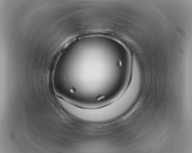 X0000113051161200909101933