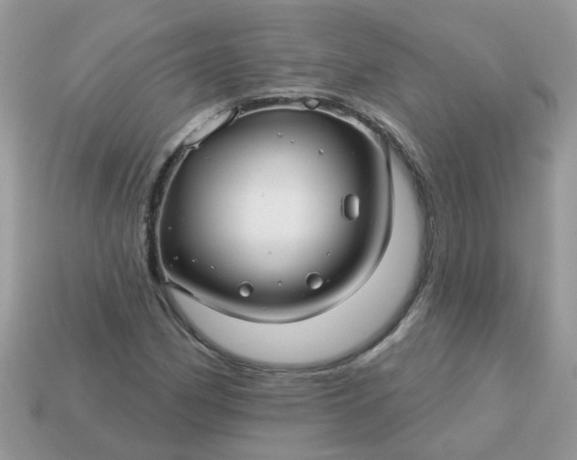 X0000113051162200909101933