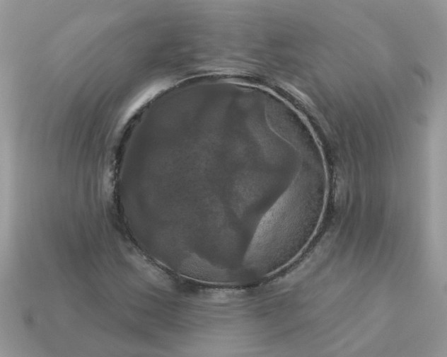 X0000113051163200909101933