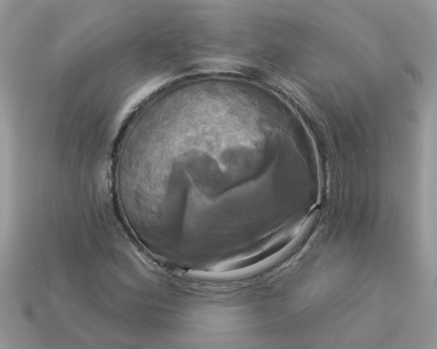 X0000113051164200909101933