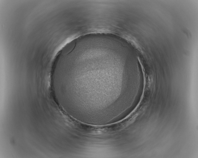 X0000113051165200909101933