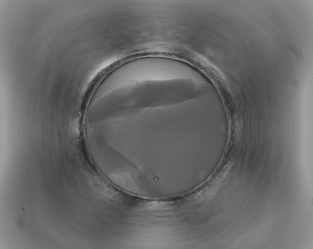 X0000113051166200909101933