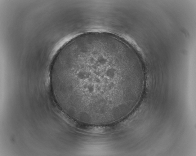 X0000113051167200909101933