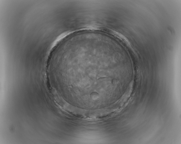 X0000113051168200909101933