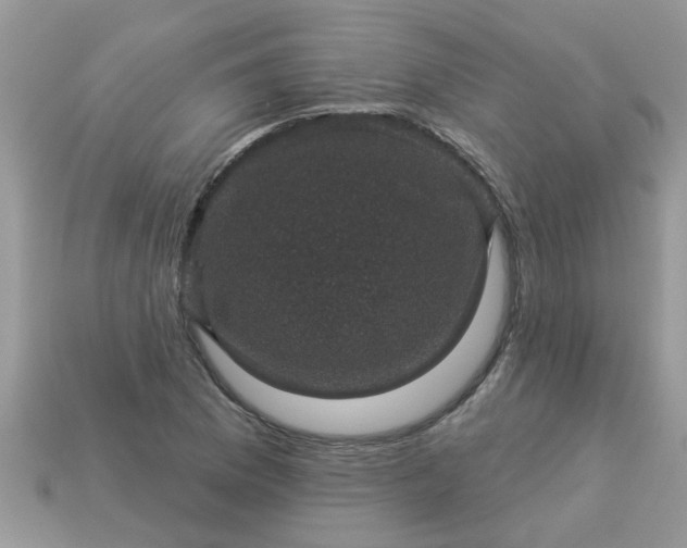 X0000113051169200909101933