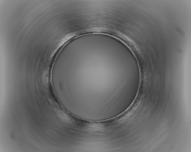 X0000113051170200909101933