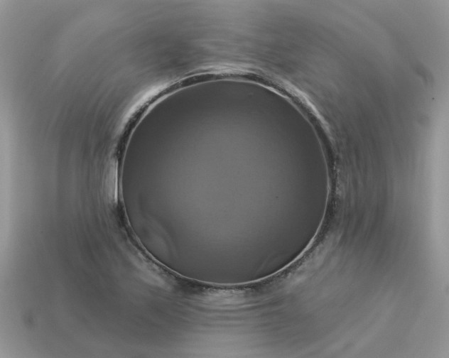 X0000113051171200909101933