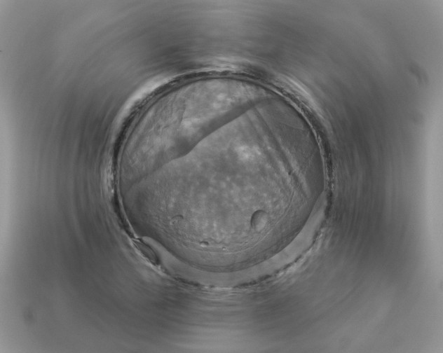 X0000113051172200909101933