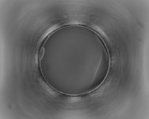 X0000113051173200909101933